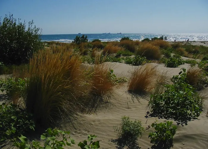 Orio & Beatrice Venedigs Lido